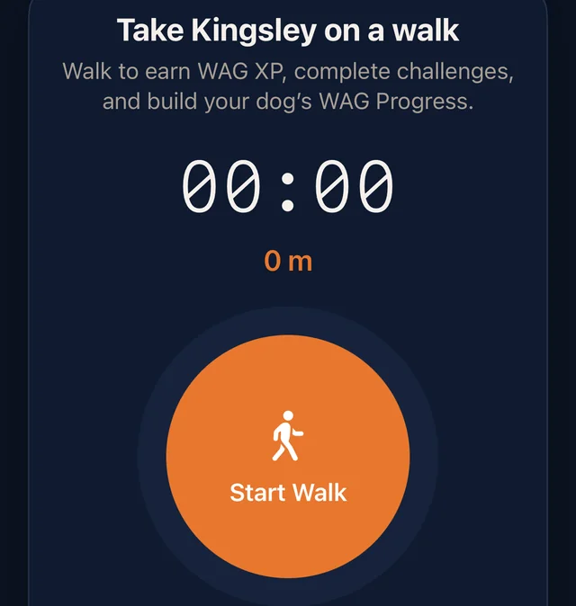 The TailWag walk screen: Take Kingsley on a walk, a timer at 00:00, 0 m, and an orange Start Walk button